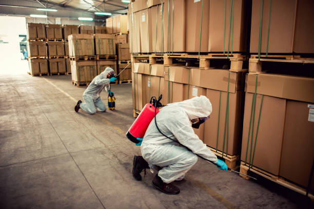 Best Pest Control Treatment  in Bennettsville, SC