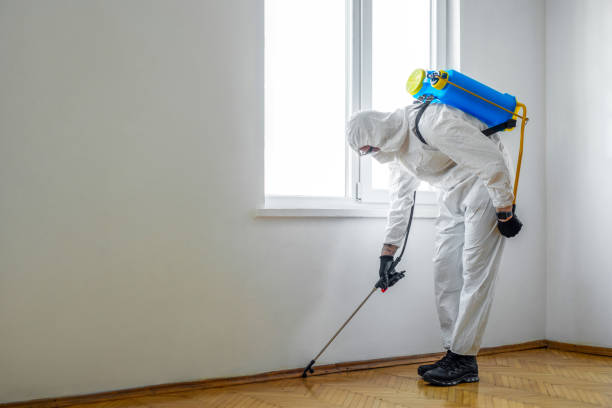 Best Commercial Pest Control Services  in Bennettsville, SC