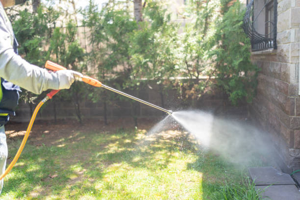 Trusted Bennettsville, SC Pest Control Experts
