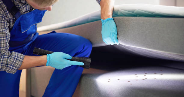 Best Affordable Pest Control Services  in Bennettsville, SC