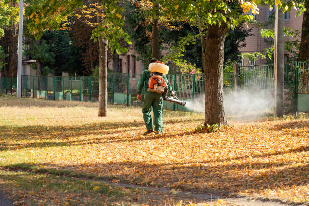 Best Insect Control  in Bennettsville, SC