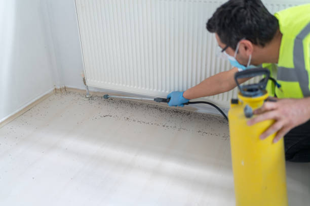 Best Residential Pest Control  in Bennettsville, SC